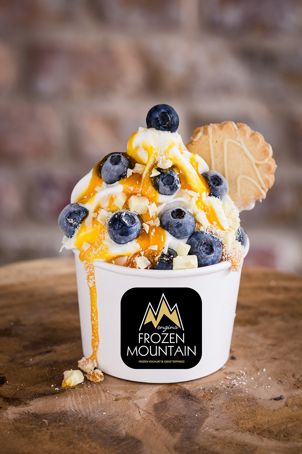 Frozen_Mountain_Bayreuth_Frozen_Yoghurt_Topping_Heidelbeere_Keks_Caramel